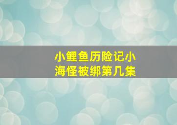 小鲤鱼历险记小海怪被绑第几集