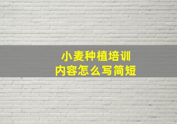 小麦种植培训内容怎么写简短