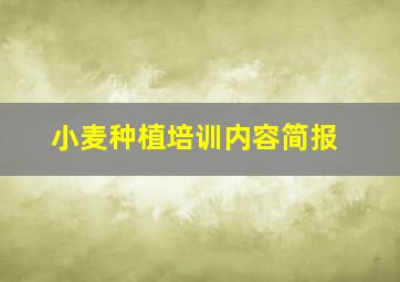 小麦种植培训内容简报