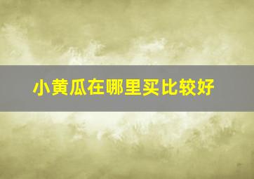 小黄瓜在哪里买比较好