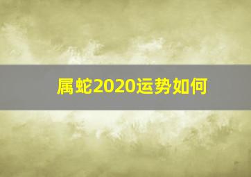 属蛇2020运势如何