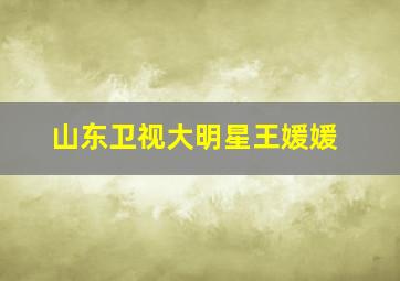 山东卫视大明星王媛媛