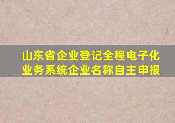 山东省企业登记全程电子化业务系统企业名称自主申报