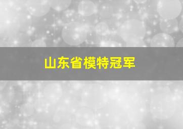 山东省模特冠军