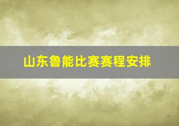 山东鲁能比赛赛程安排