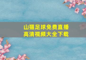 山猫足球免费直播高清视频大全下载