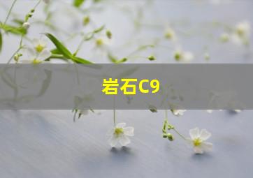 岩石C9