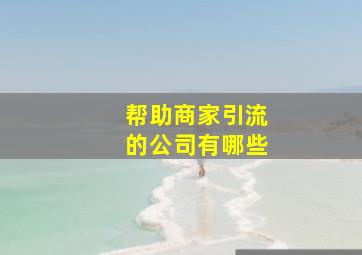 帮助商家引流的公司有哪些