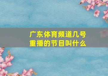 广东体育频道几号重播的节目叫什么