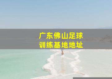 广东佛山足球训练基地地址