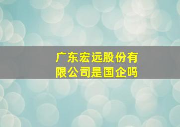 广东宏远股份有限公司是国企吗