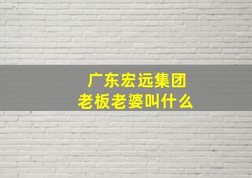 广东宏远集团老板老婆叫什么