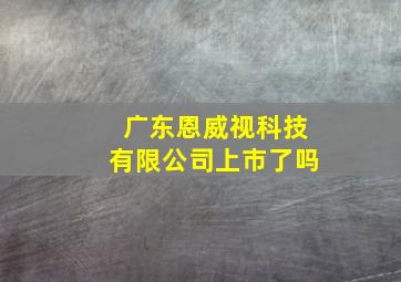 广东恩威视科技有限公司上市了吗