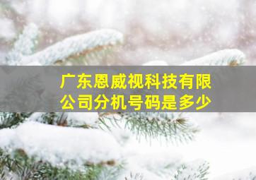 广东恩威视科技有限公司分机号码是多少