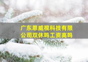 广东恩威视科技有限公司双休吗工资高吗