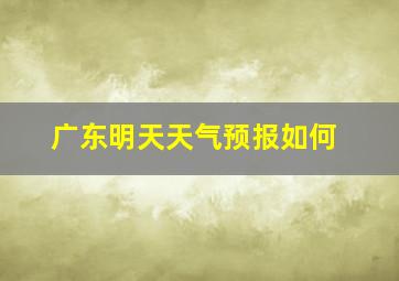 广东明天天气预报如何