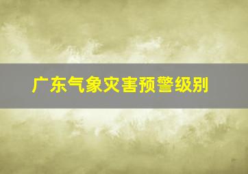 广东气象灾害预警级别