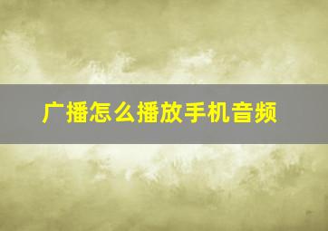 广播怎么播放手机音频