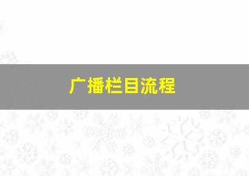 广播栏目流程