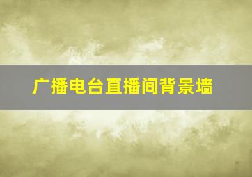 广播电台直播间背景墙