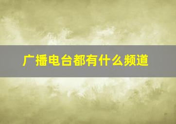 广播电台都有什么频道