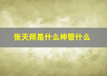 张天师是什么神管什么