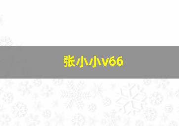 张小小v66