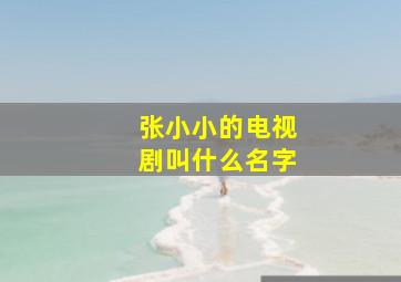 张小小的电视剧叫什么名字