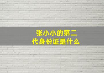 张小小的第二代身份证是什么