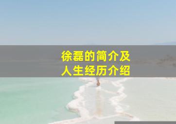 徐磊的简介及人生经历介绍