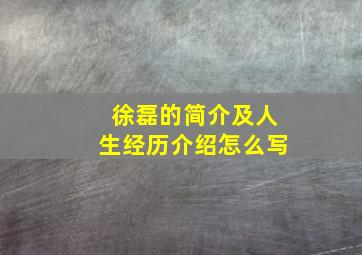 徐磊的简介及人生经历介绍怎么写