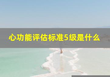 心功能评估标准5级是什么