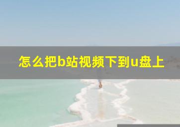 怎么把b站视频下到u盘上