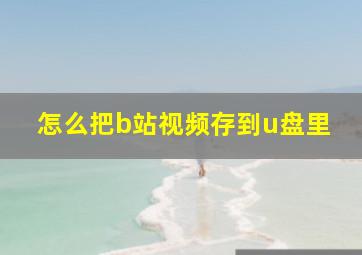 怎么把b站视频存到u盘里