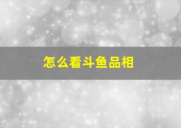 怎么看斗鱼品相