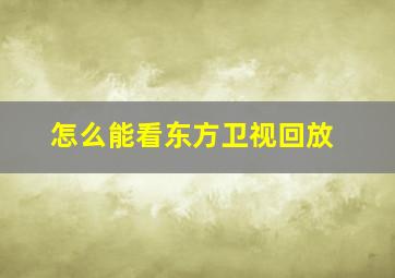 怎么能看东方卫视回放