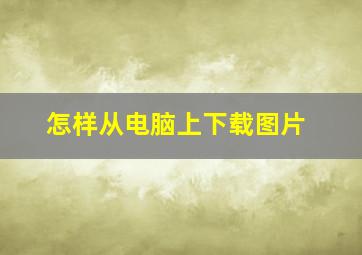 怎样从电脑上下载图片