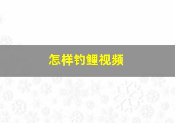 怎样钓鲤视频