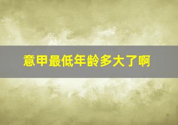 意甲最低年龄多大了啊