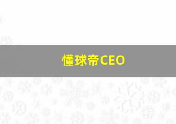 懂球帝CEO