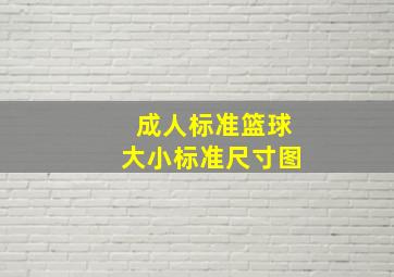 成人标准篮球大小标准尺寸图