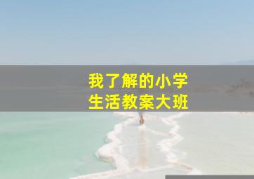 我了解的小学生活教案大班