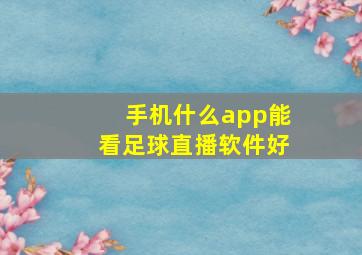 手机什么app能看足球直播软件好