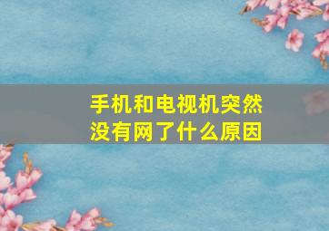 手机和电视机突然没有网了什么原因