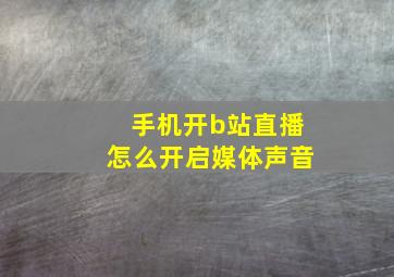 手机开b站直播怎么开启媒体声音