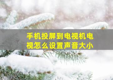 手机投屏到电视机电视怎么设置声音大小