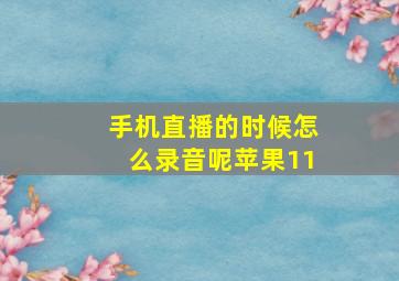 手机直播的时候怎么录音呢苹果11