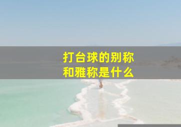 打台球的别称和雅称是什么