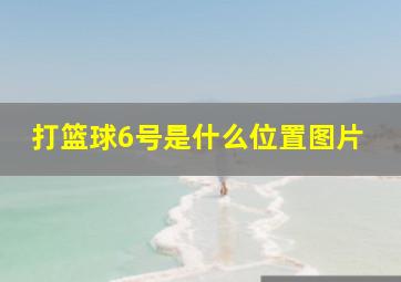 打篮球6号是什么位置图片