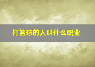 打篮球的人叫什么职业